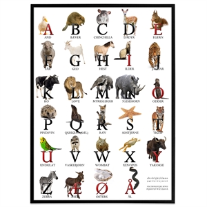 ABC plakat med dyr