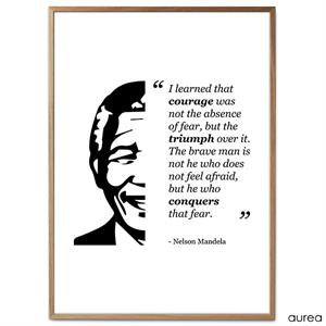 Nelson Mandela, Conquer your fears plakat til hjemmet