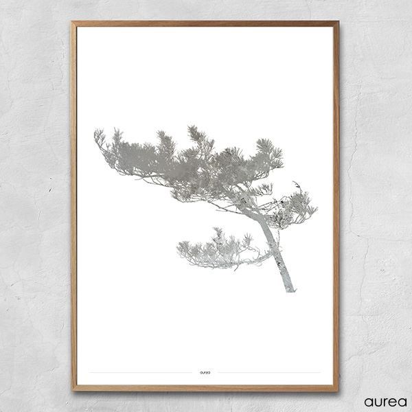 Plakat - Pine Tree