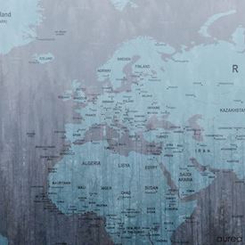 Plakat med verdenskort the forest til hjemmet