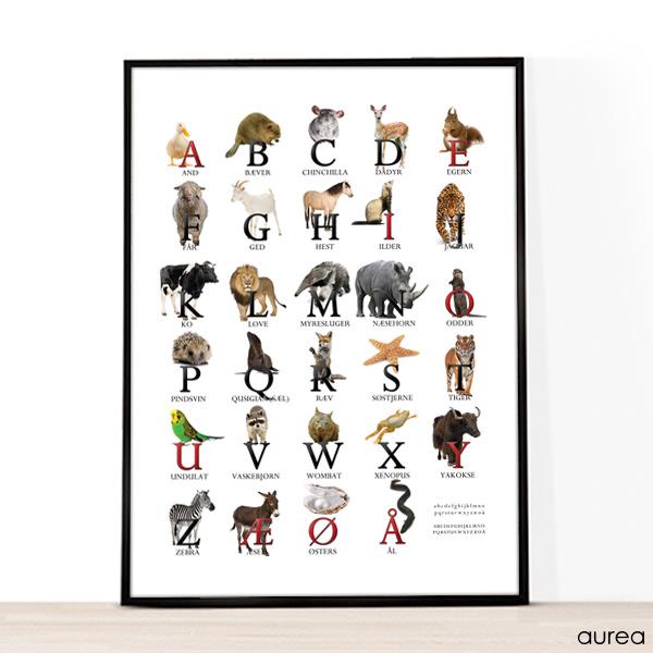 A4 plakat med ABC og dyr