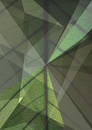 Plakat af grafisk grønt blad