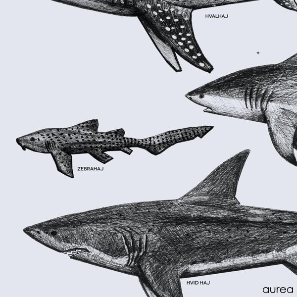plakat med håndtegnede hajer blå - Bestil online