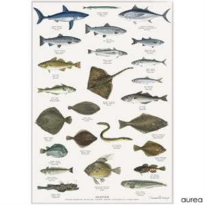 Koustrup & Co Plakat - Havets Fisk