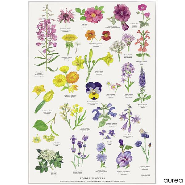 koustrup & co plakat med spiselige blomster A2