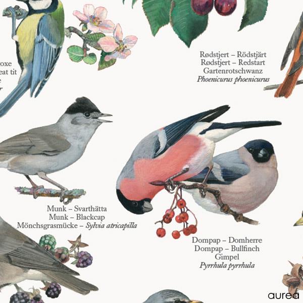 vegetation sandaler brevpapir Havens Fugle Plakat A2 | Køb den online hos Aurea.dk
