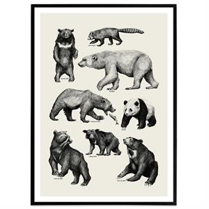 Plakat med bjørne, grå