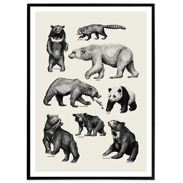 Plakat med bjørne, grå
