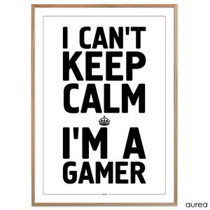 "I can\'t keep calm. I\'m a GAMER"