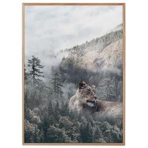 Plakat af løve i en tåget skov
