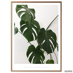 Plakat med grøn plante, no. 2