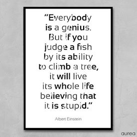 Citat Plakat - Everybody is a Genius