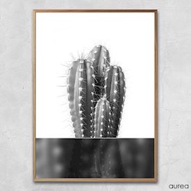 Plakat - Kaktus no.1