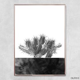 Plakat - Kaktus no.2