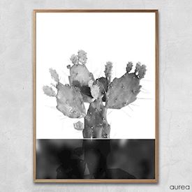 Plakat - Kaktus no.3