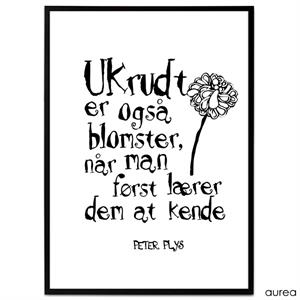 Plakat med citat af Peter Plys, Ukrudt er også blomster