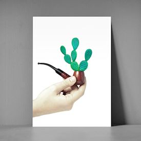 Postkort A5 - Kaktus pibe