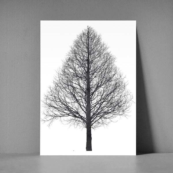 postkort i a5 størrelse med illustration af et træ
